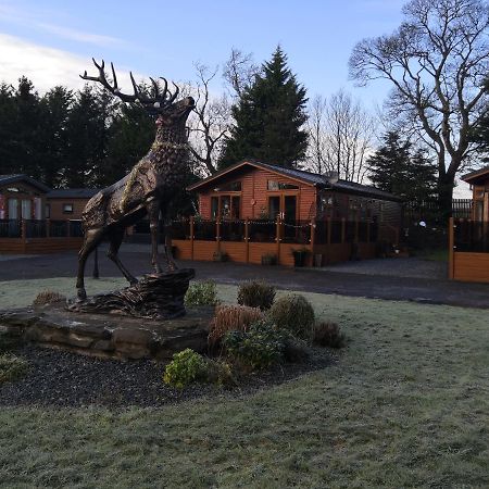 12 Burnside Lodge Auchterarder Bagian luar foto