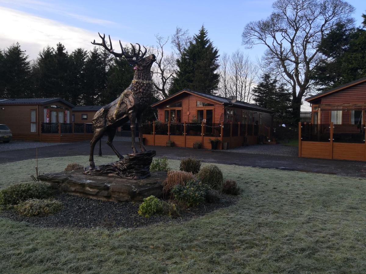 12 Burnside Lodge Auchterarder Bagian luar foto